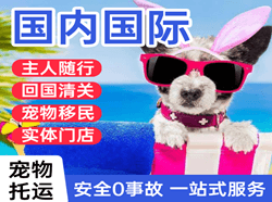 九江庐山机场货运国际宠物托运 【国